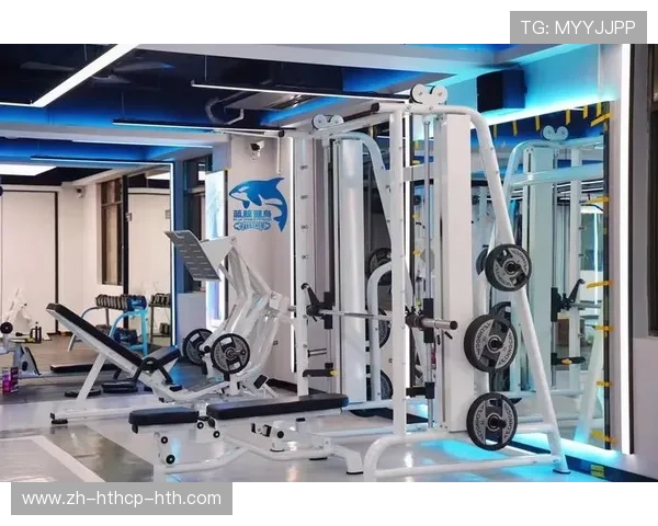 顶级健身器材品牌：高端产品分析与推荐