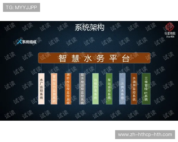 西甲联赛的青训系统与未来之星 西甲联赛的青训系统与未来之星
