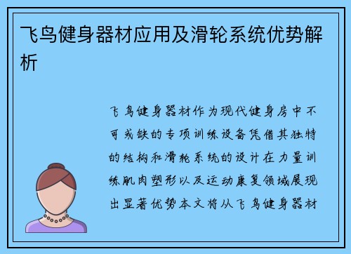 飞鸟健身器材应用及滑轮系统优势解析