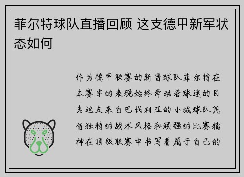 菲尔特球队直播回顾 这支德甲新军状态如何